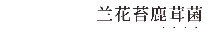 微信图片_20240529123728 微信图片_20240529123728